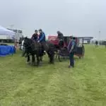 Enniscrone Show 2025 (319)