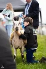 Enniscrone Show 2025 (573)