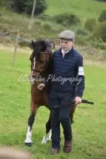 Enniscrone Show 2025 (1053)