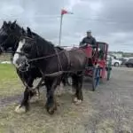 Enniscrone Show 2025 (838)