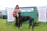 Enniscrone Show 2025 (1263).JPG