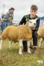 Enniscrone Show 2025 (875)