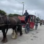 Enniscrone Show 2025 (479)