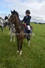 Enniscrone Show 2025 (697)