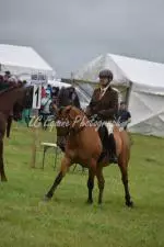 Enniscrone Show 2025 (528)