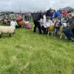 Enniscrone Show 2025 (258)