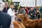 Enniscrone Show 2025 (240)