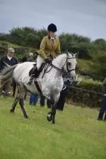 Enniscrone Show 2025 (521)