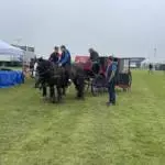 Enniscrone Show 2025 (822)