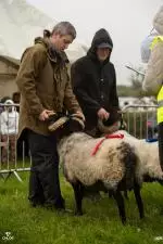 Enniscrone Show 2025 (338)