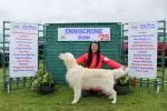 Enniscrone Show 2025 (1235).JPG