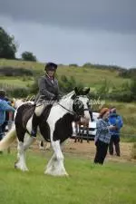 Enniscrone Show 2025 (428)