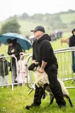 Enniscrone Show 2025 (169)