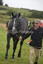 Enniscrone Show 2025 (415)