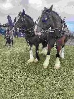 Enniscrone Show144