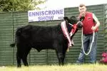 Enniscrone Show 2025 (868)