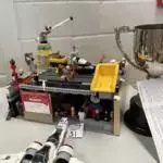 Enniscrone Show 2025 (845)