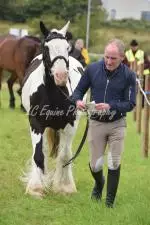 Enniscrone Show 2025 (1116)