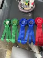 Enniscrone Show 2025 (669)