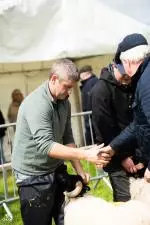 Enniscrone Show 2025 (17)