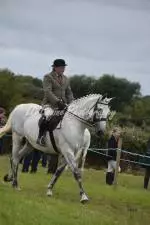 Enniscrone Show 2025 (912)