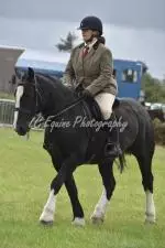 Enniscrone Show 2025 (622)