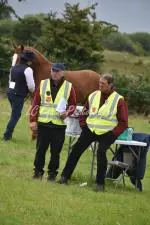 Enniscrone Show 2025 (771)