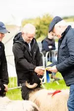 Enniscrone Show 2025 (1005)