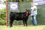 Enniscrone Show 2025 (849)