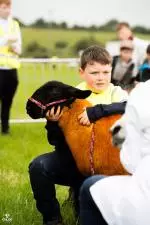 Enniscrone Show 2025 (19)