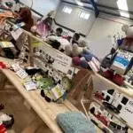 Enniscrone Show 2025 (979)