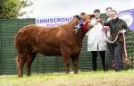 Enniscrone Show 2025 (10)