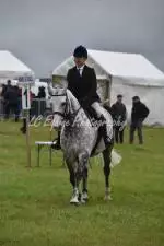 Enniscrone Show 2025 (522)