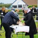 Enniscrone Show 2025 (1204).JPG