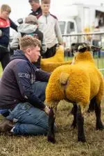 Enniscrone Show 2025 (45)