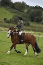 Enniscrone Show 2025 (775)