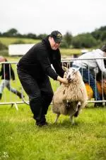 Enniscrone Show 2025 (253)