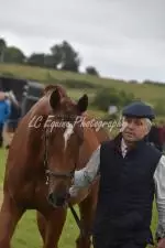 Enniscrone Show 2025 (1069)