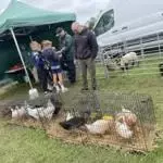 Enniscrone Show 2025 (265)