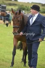 Enniscrone Show 2025 (1010)