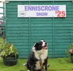 Enniscrone Show 2025 (1186).JPG